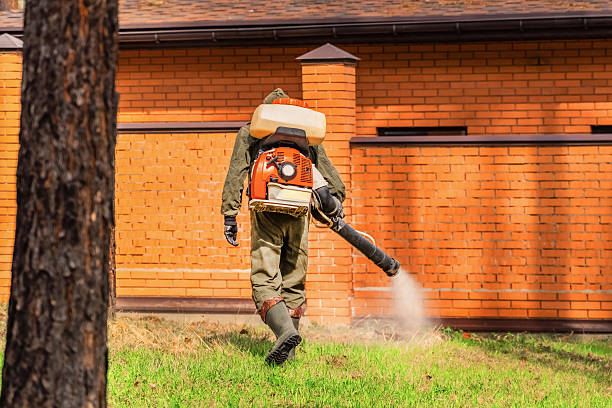 Trusted Cockroach Control service in Northridge, OH - Nex Pest Control